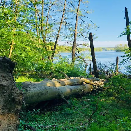 Am Muemmelbrook * Feldberger Seenlandschaft