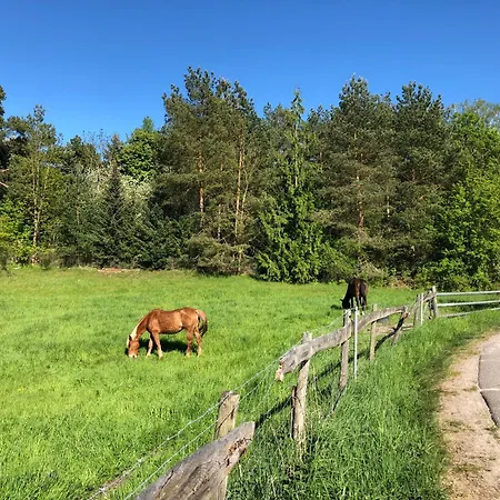 아파트 Am Muemmelbrook 펠트베르크