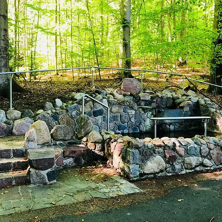 Am Muemmelbrook Feldberger Seenlandschaft