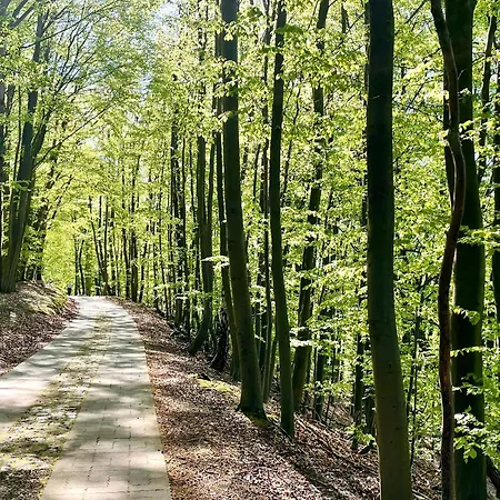 Am Muemmelbrook 아파트 펠트베르크