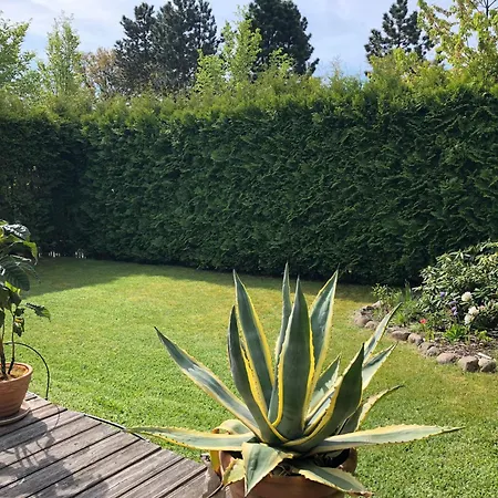 아파트 Am Muemmelbrook *