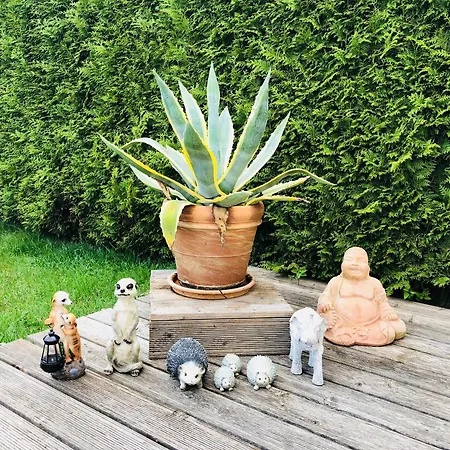 Am Muemmelbrook 펠트베르크